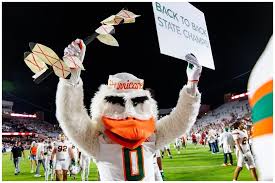 What animal is the Miami Hurricanes mascot? All about Sebastian the Ibis