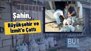 Bugün Kocaeli - News update