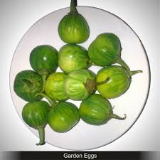 Image result wey dey for Garden of Egg