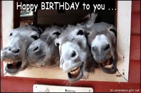 Image result for funny birthday
