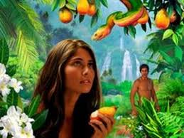 Image result for Trees in the Garden of Eden
