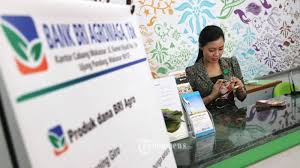 Image result for PT Bank Rakyat Indonesia Agroniaga Tbk