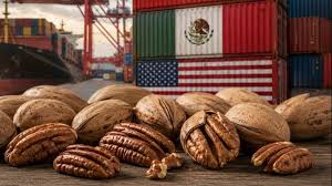 China impone cuotas antidumping de hasta 54.3% a nuez de México y Estados Unidos