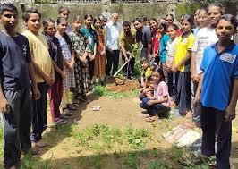 Mahendragarh-Narnaul News: दारा सिंह की पुण्यतिथि पर पौधरोपण किया