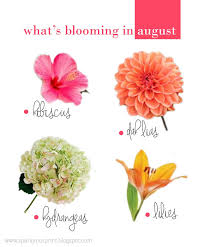 Image result for august flower