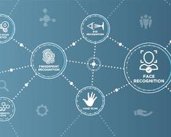 Image of Fingerprint Recognition Biometric Modality