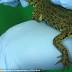 Man charged with attempting to smuggle crocodile into Brisbane