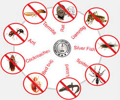 Image result for pest control services