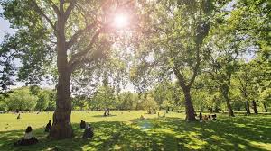 UK weather: ‘Mini heatwave’ forecast as temperatures to hit 26C