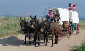 Image result for rinker buck