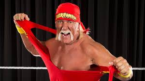 Luto en la Lucha Libre: Fallece Hulk Hogan a los 71 Años - Imagen principal del artículo