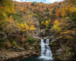 三段峡の紅葉の画像