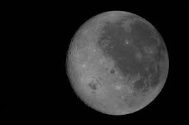 Trend Google: luna