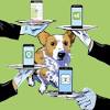 Story image for Best Pet Supplies Pet Bed Accessories For Sale from Sarasota Herald-Tribune