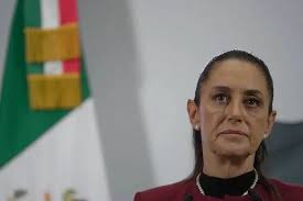 Mexico News Daily - News update