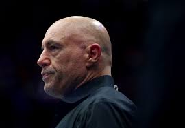 Joe Rogan breaks with Trump on ICE raids: 'Are we going to be the Gestapo?"