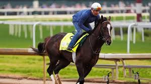 Who should you lay your money on for victory at Churchill Downs?