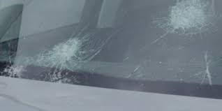 Large hail wreaks havoc in Springfield, impacting animals and infrastructure