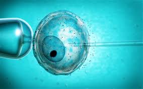 Résultat de recherche d'images pour "Soy improves the outcome of IVF in women"