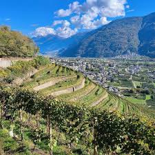 valtellinanotizie.com - News update