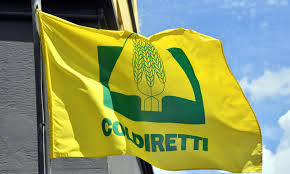 Antenna Sud - News update