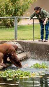 I should come up with a drink called the sloppy toppy