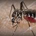 LCHD responds to first sexually-transmitted Zika case in Ohio
