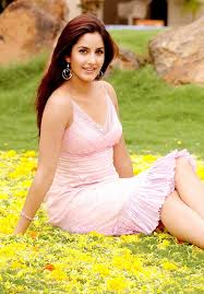 Image result for katrina kaif blogspot