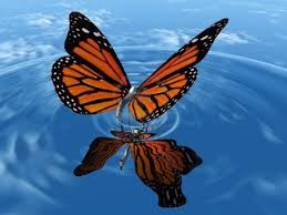 Resultado de imagen de butterfly