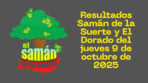 Estoy en la Frontera - News update