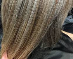 Image de Long Grey Hair with Honey Highlights