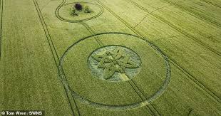 Mysterious crop circles return, UFO conspiracies immediately ...