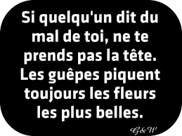 Rsultat de recherche d'images pour "citation du bonheur philosophie"