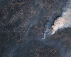 صورة satellite image of a forest fire