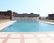 Image of Himgiri Zee University Swimming Pool