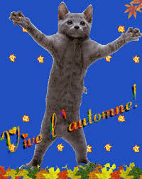 Résultat de recherche d'images pour "vive l'automne"