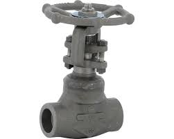 Carbon steel A150N gate valve 117 TRIM 5 800 lbs SW | Syveco
