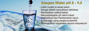 Image result for kangen water