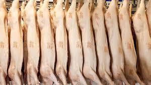 Pigbusiness.nl - News update