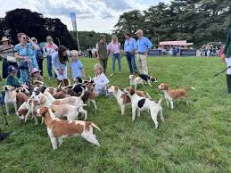 Countryside Alliance - News update
