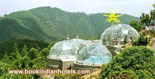Image result for CHAIL