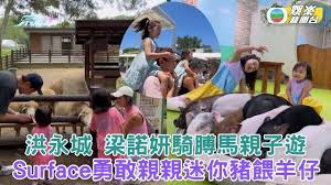 洪永城梁諾妍與女兒騎膊馬親子遊Sir Face勇敢親親迷你豬餵羊仔- 東張+