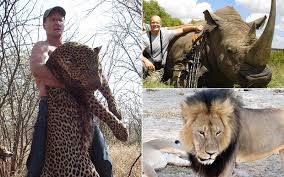 Image result for cecil lion