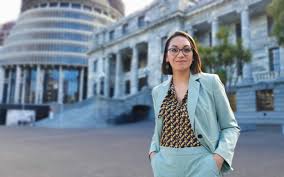 Finance Minister shut down event after TVNZ political editor used alleged homophobic slur