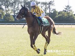 競馬予想のウマニティ - News update