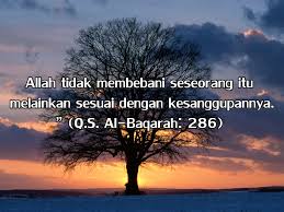 Image result for ayat ayat motivasi islam