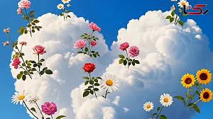 فال و طالع بینی 23 شهریور برای متولدین هر ماه