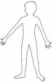 Resultado de imagen para cuerpo humano