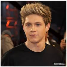 Foto bij Capitulo Dos [chapter 2] - Niall Horan.