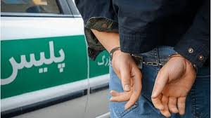 تصویر خبر: بازداشت عوامل تهیه و تولید کلیپ مبتذل در مهدیشهر